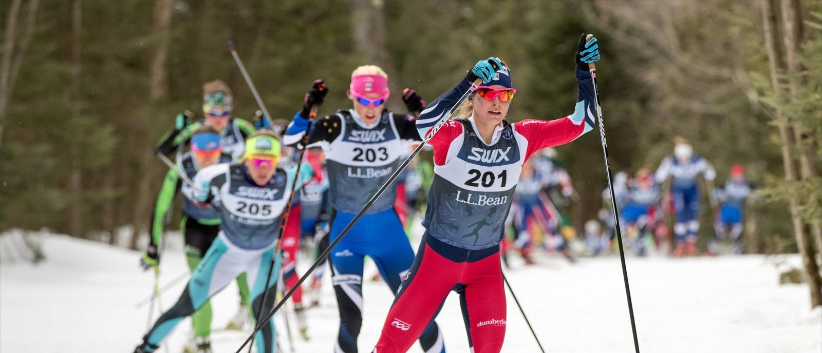 Nordic skiers in a race